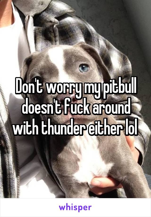 Don't worry my pitbull doesn't fuck around with thunder either lol 
