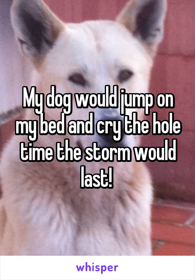 My dog would jump on my bed and cry the hole time the storm would last! 