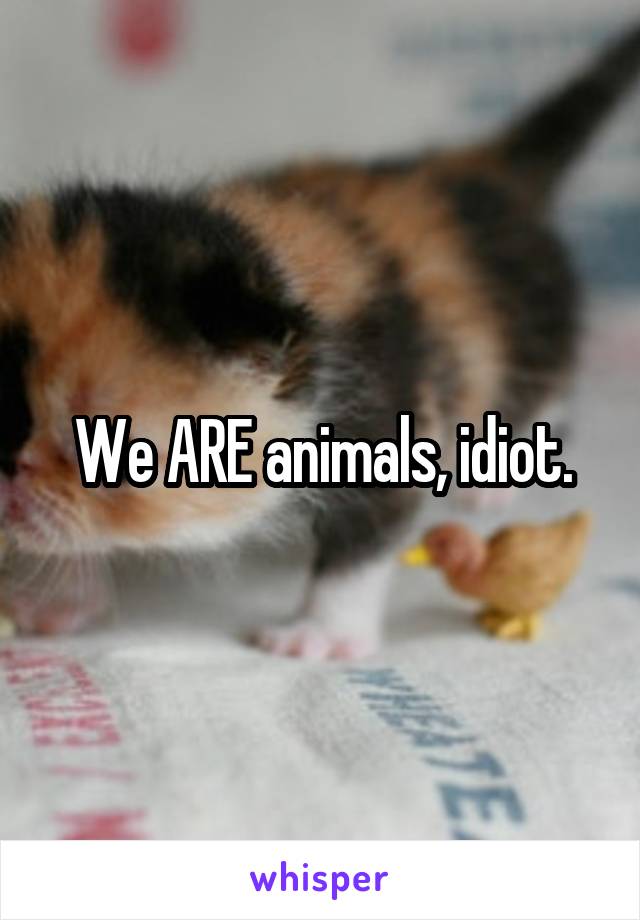 We ARE animals, idiot.