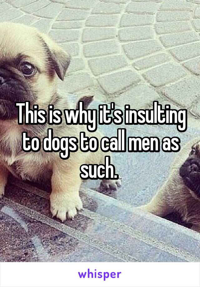 This is why it's insulting to dogs to call men as such. 