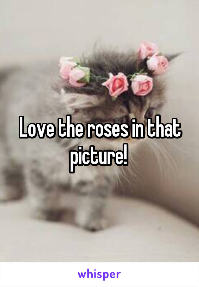 Love the roses in that picture! 