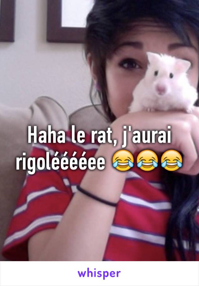 Haha le rat, j'aurai rigolééééee 😂😂😂