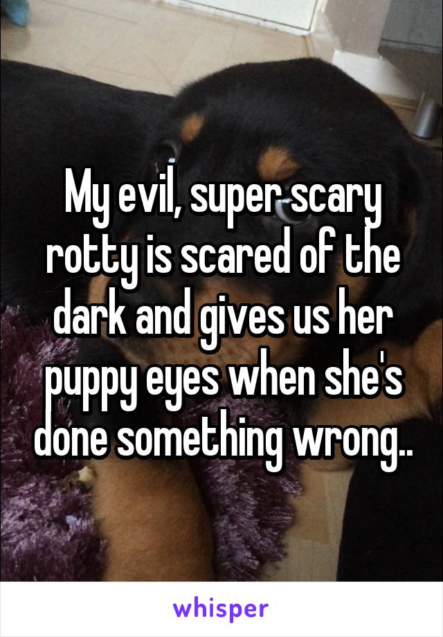 My evil, super scary rotty is scared of the dark and gives us her puppy eyes when she's done something wrong..