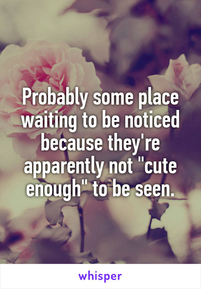 Probably some place waiting to be noticed because they're apparently not "cute enough" to be seen.