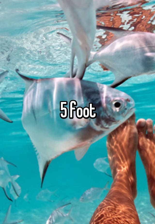 5-foot