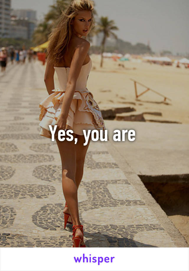 Yes, you are 