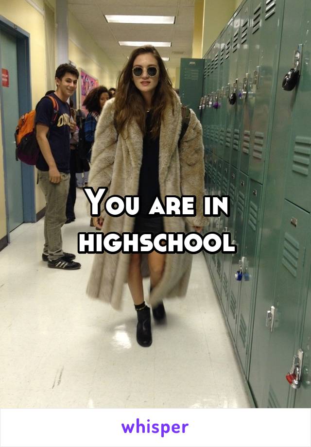 You are in highschool