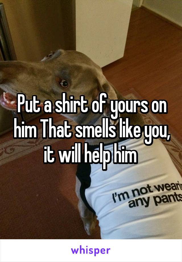 Put a shirt of yours on him That smells like you, it will help him 