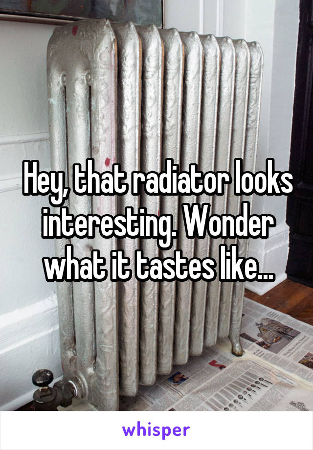 Hey, that radiator looks interesting. Wonder what it tastes like...