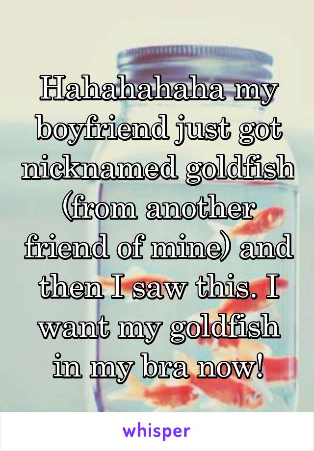 Hahahahaha my boyfriend just got nicknamed goldfish (from another friend of mine) and then I saw this. I want my goldfish in my bra now!