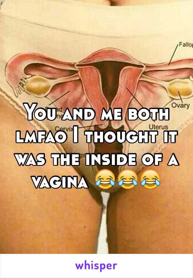 You and me both lmfao I thought it was the inside of a vagina 😂😂😂