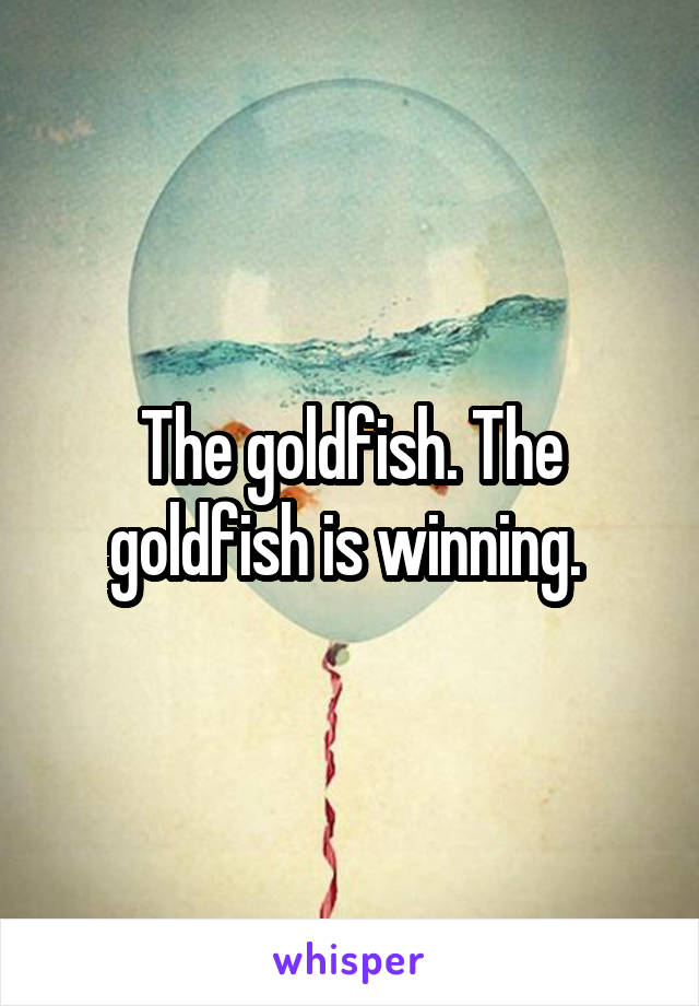 The goldfish. The goldfish is winning. 