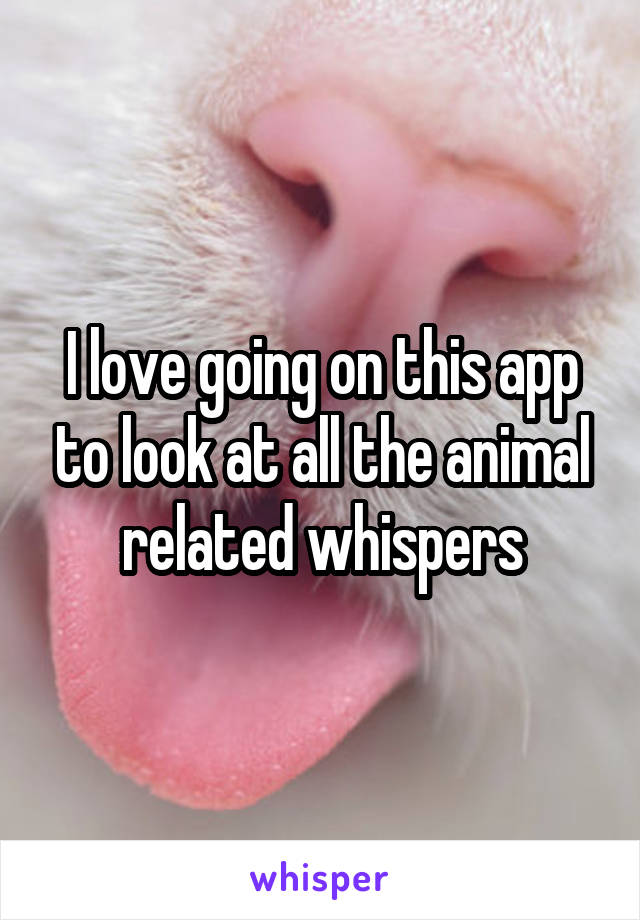 I love going on this app to look at all the animal related whispers