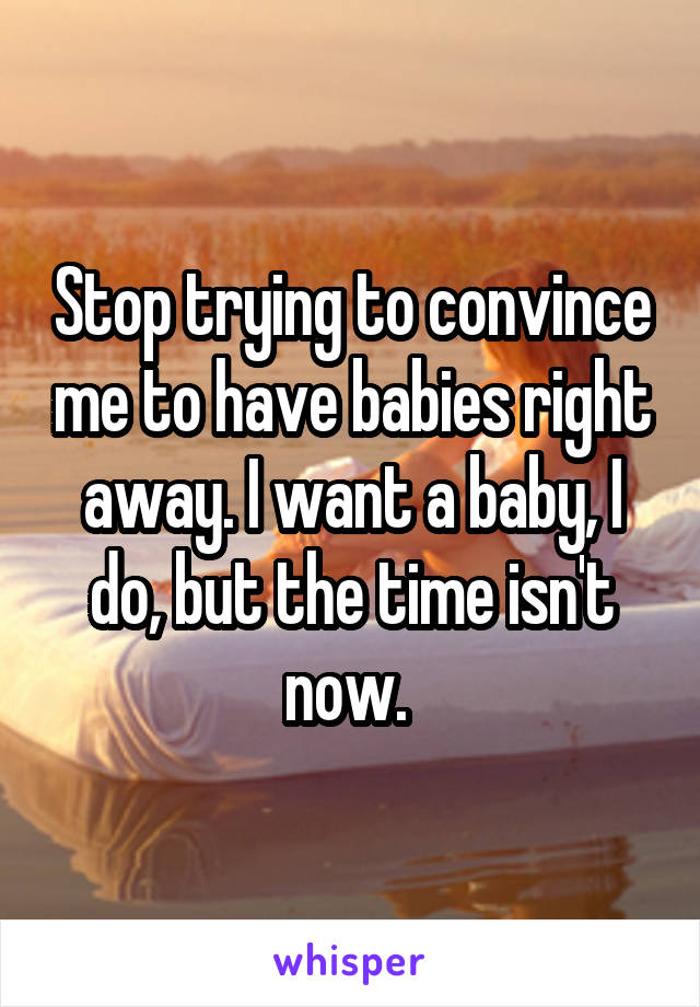 Stop trying to convince me to have babies right away. I want a baby, I do, but the time isn't now. 