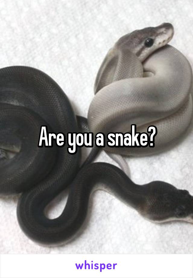 Are you a snake?