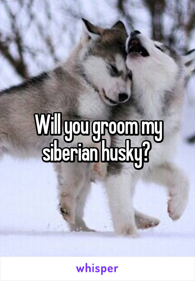 Will you groom my siberian husky? 