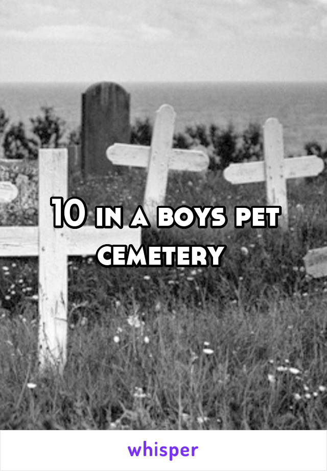 10 in a boys pet cemetery 