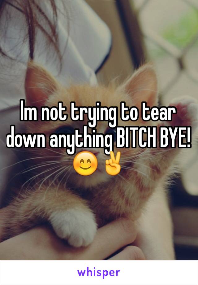 Im not trying to tear down anything BITCH BYE! 😊✌️