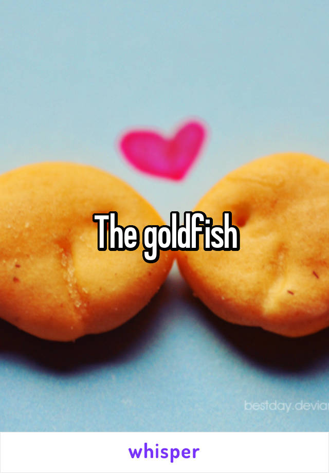 The goldfish