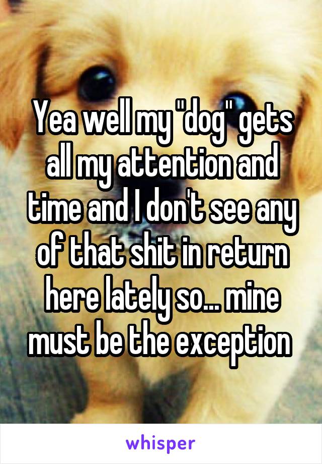 Yea well my "dog" gets all my attention and time and I don't see any of that shit in return here lately so... mine must be the exception 