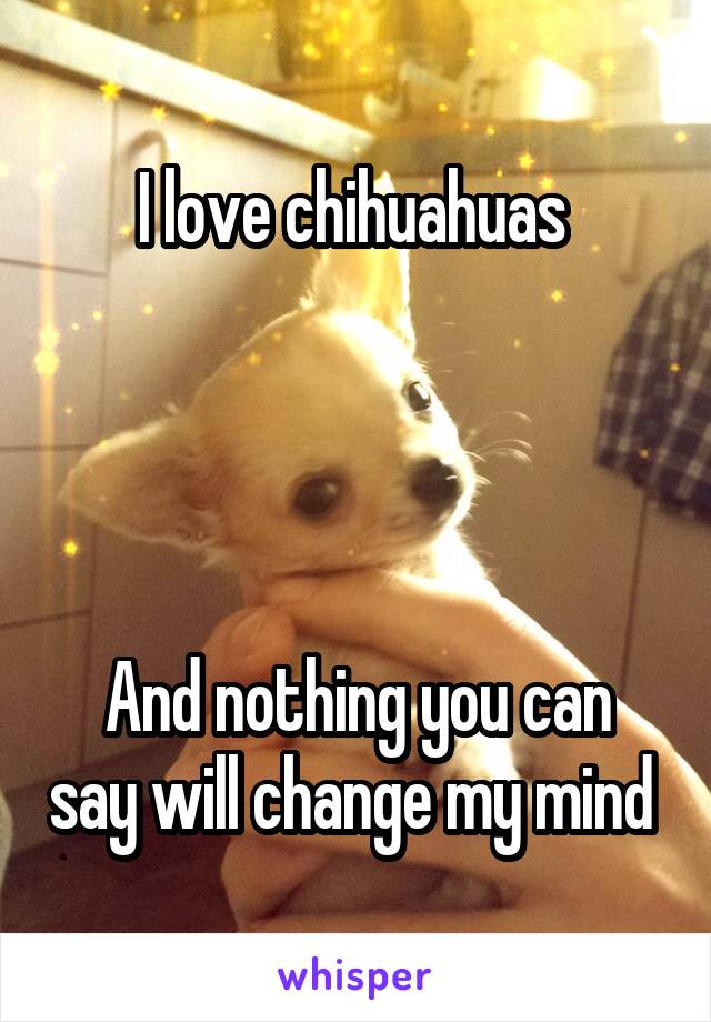 I love chihuahuas 




And nothing you can say will change my mind 