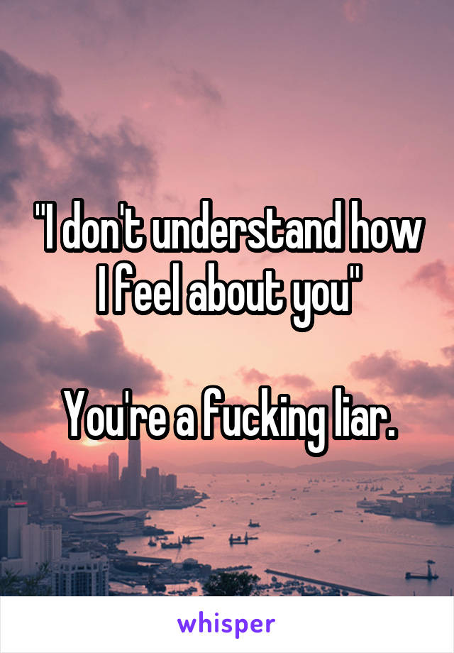 "I don't understand how I feel about you"

You're a fucking liar.