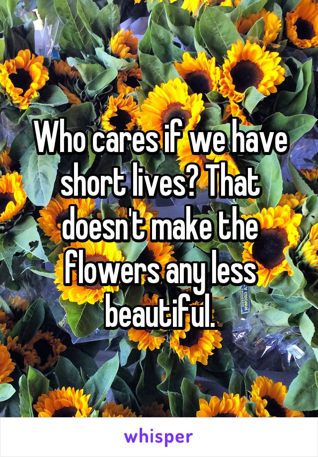 Who cares if we have short lives? That doesn't make the flowers any less beautiful.