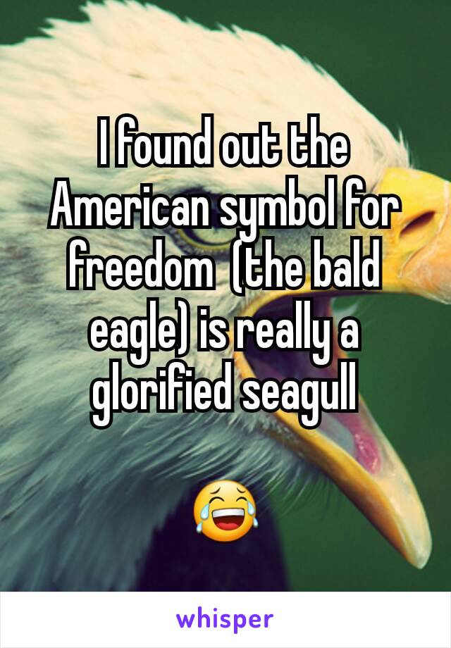 I found out the American symbol for freedom  (the bald eagle) is really a glorified seagull

😂