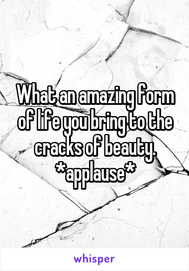 What an amazing form of life you bring to the cracks of beauty. *applause*