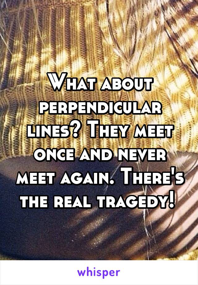 What about perpendicular lines? They meet once and never meet again. There's the real tragedy! 