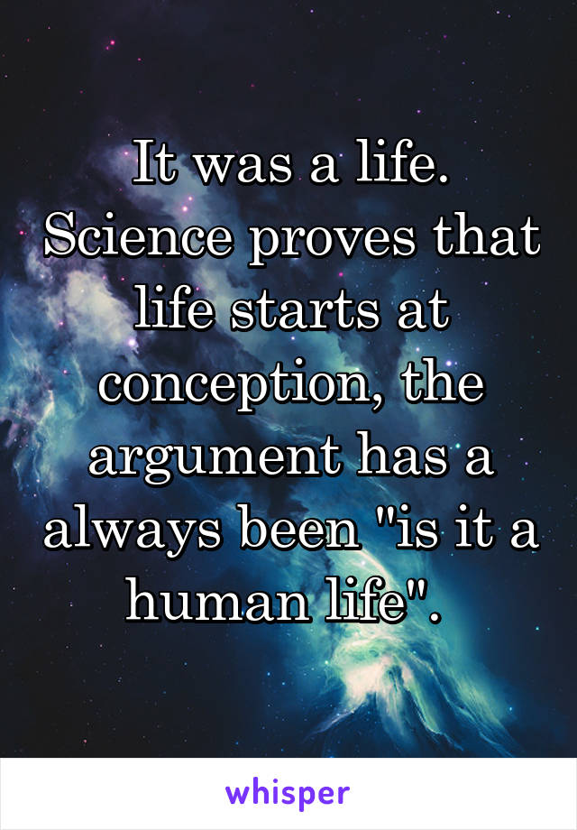 It was a life. Science proves that life starts at conception, the argument has a always been "is it a human life". 
