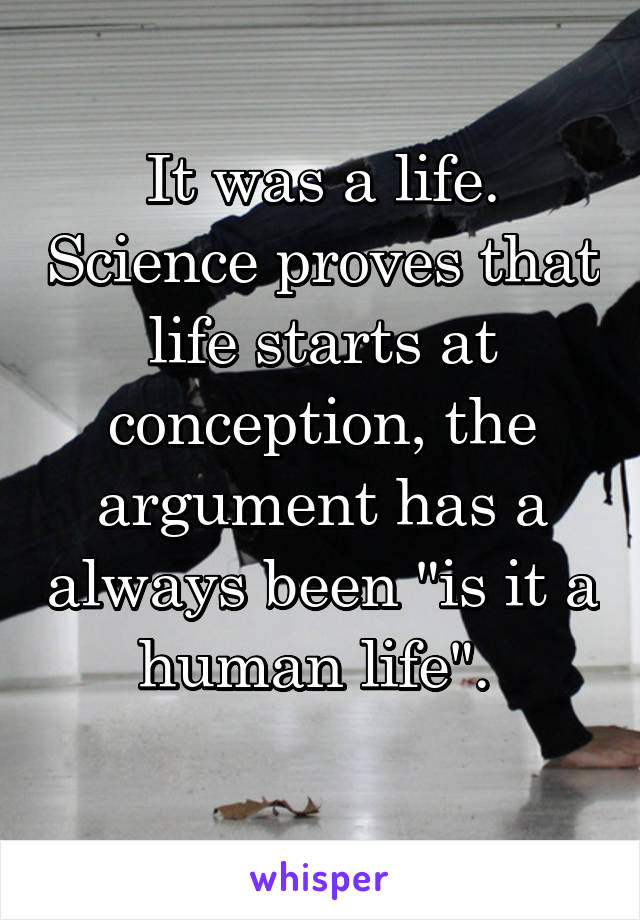 It was a life. Science proves that life starts at conception, the argument has a always been "is it a human life". 
