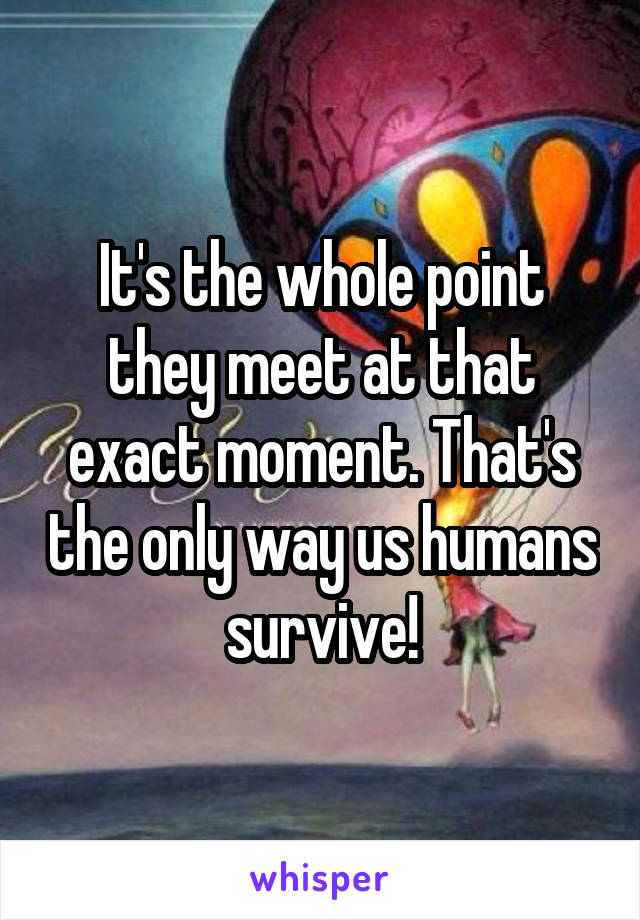 It's the whole point they meet at that exact moment. That's the only way us humans survive!