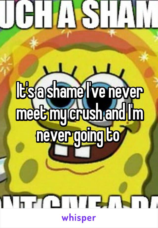 It's a shame I've never meet my crush and I'm never going to 