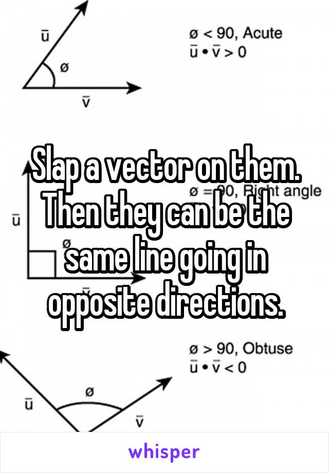 Slap a vector on them. Then they can be the same line going in opposite directions.