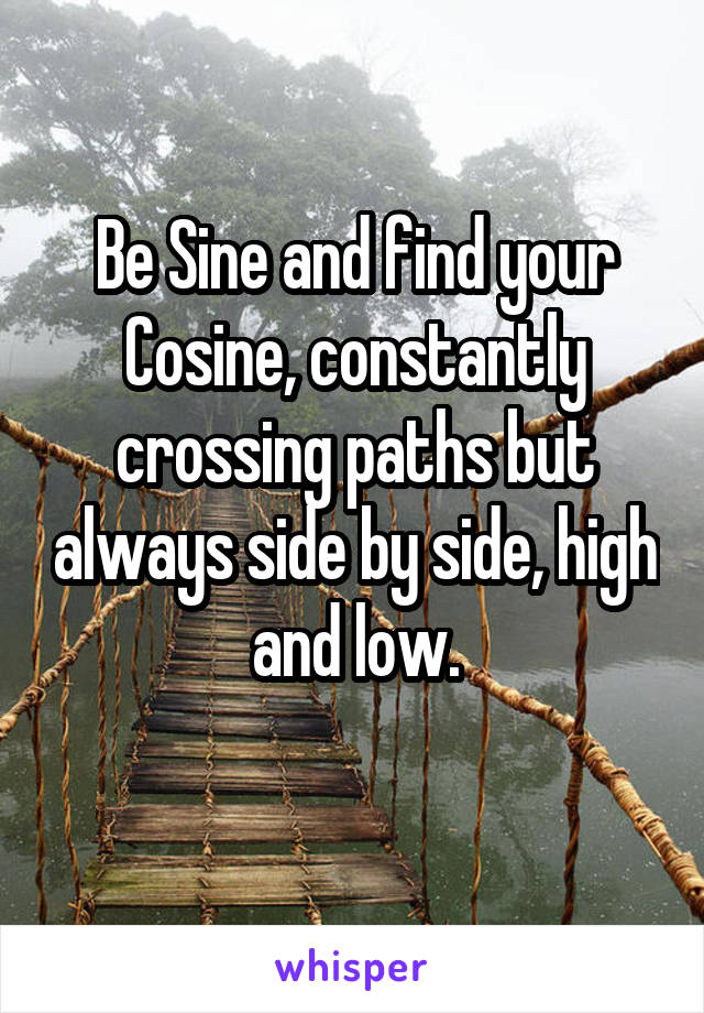 Be Sine and find your Cosine, constantly crossing paths but always side by side, high and low.
