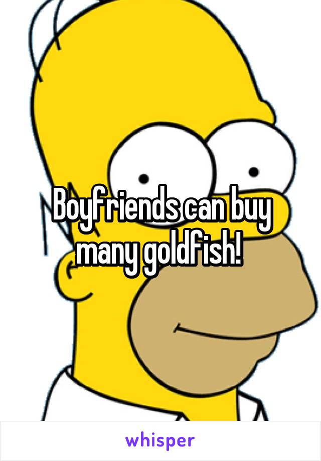 Boyfriends can buy many goldfish! 