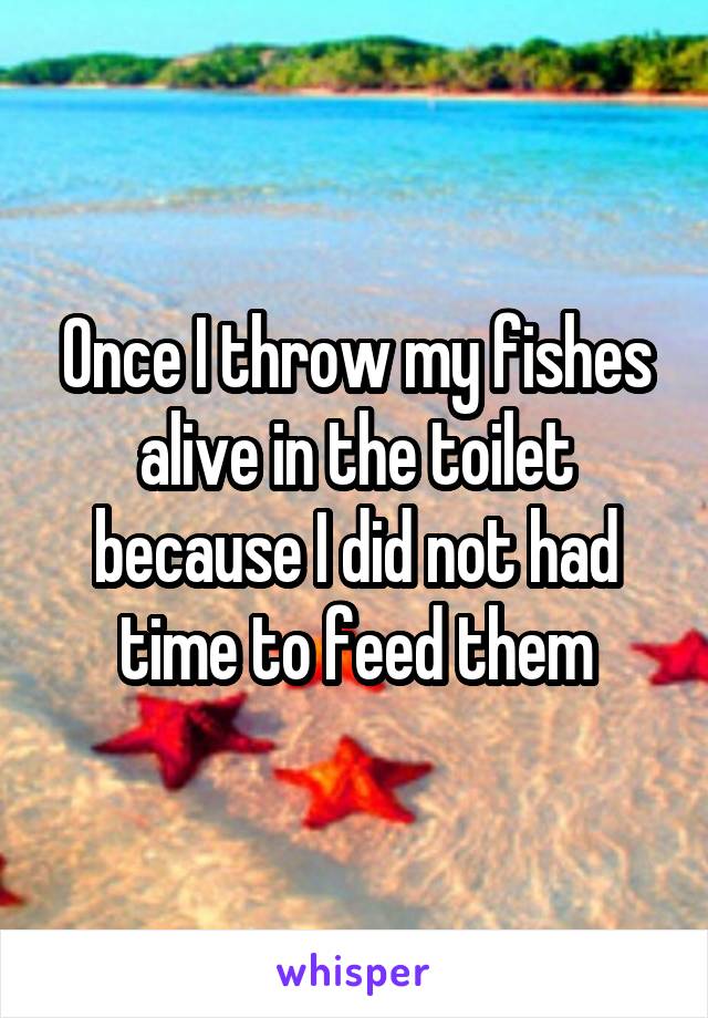 Once I throw my fishes alive in the toilet because I did not had time to feed them