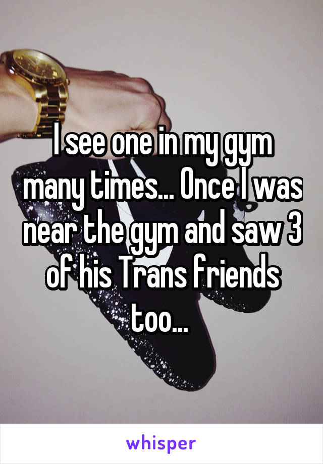 I see one in my gym many times... Once I was near the gym and saw 3 of his Trans friends too... 