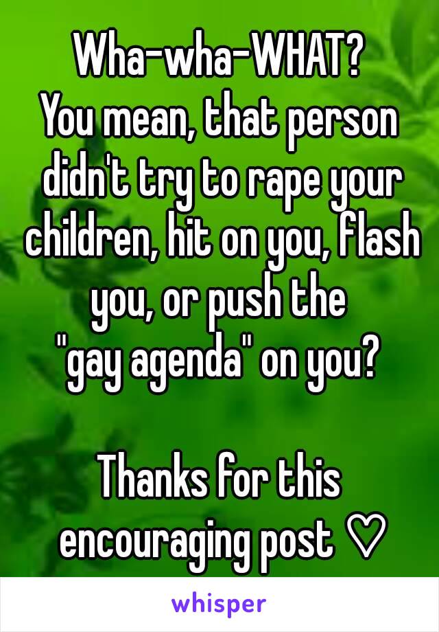 Wha-wha-WHAT?
You mean, that person didn't try to rape your children, hit on you, flash you, or push the 
"gay agenda" on you?

Thanks for this encouraging post ♡