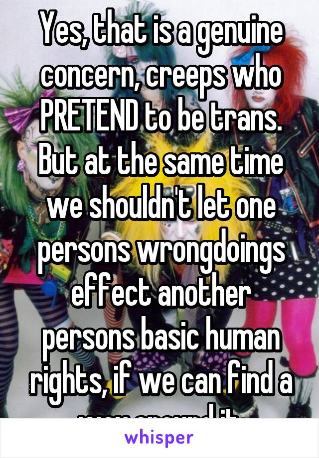 Yes, that is a genuine concern, creeps who PRETEND to be trans. But at the same time we shouldn't let one persons wrongdoings effect another persons basic human rights, if we can find a way around it.