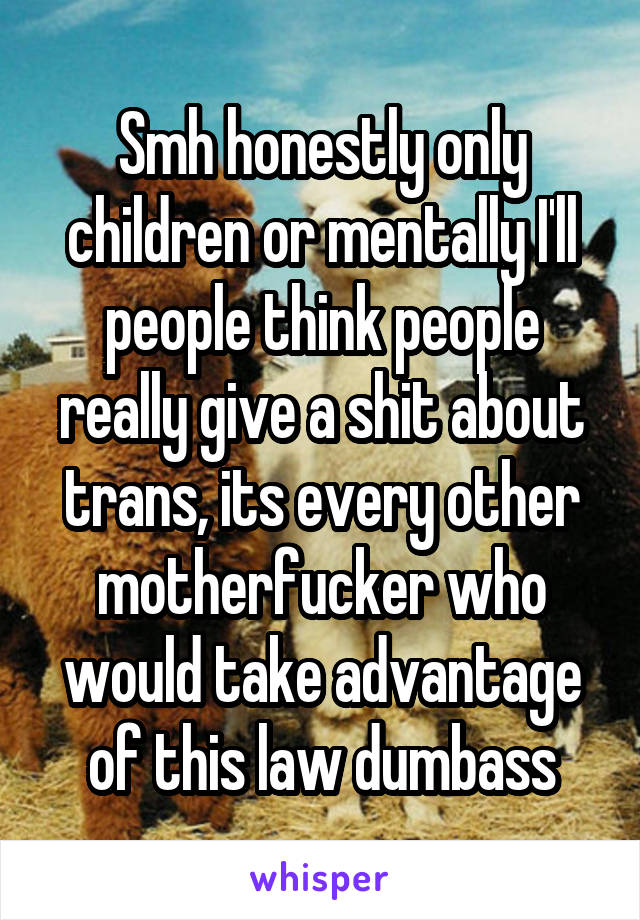 Smh honestly only children or mentally I'll people think people really give a shit about trans, its every other motherfucker who would take advantage of this law dumbass