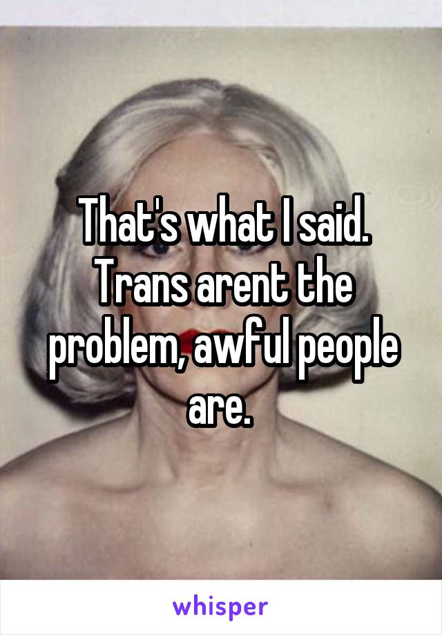 That's what I said. Trans arent the problem, awful people are. 