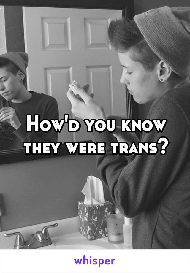 How'd you know they were trans?