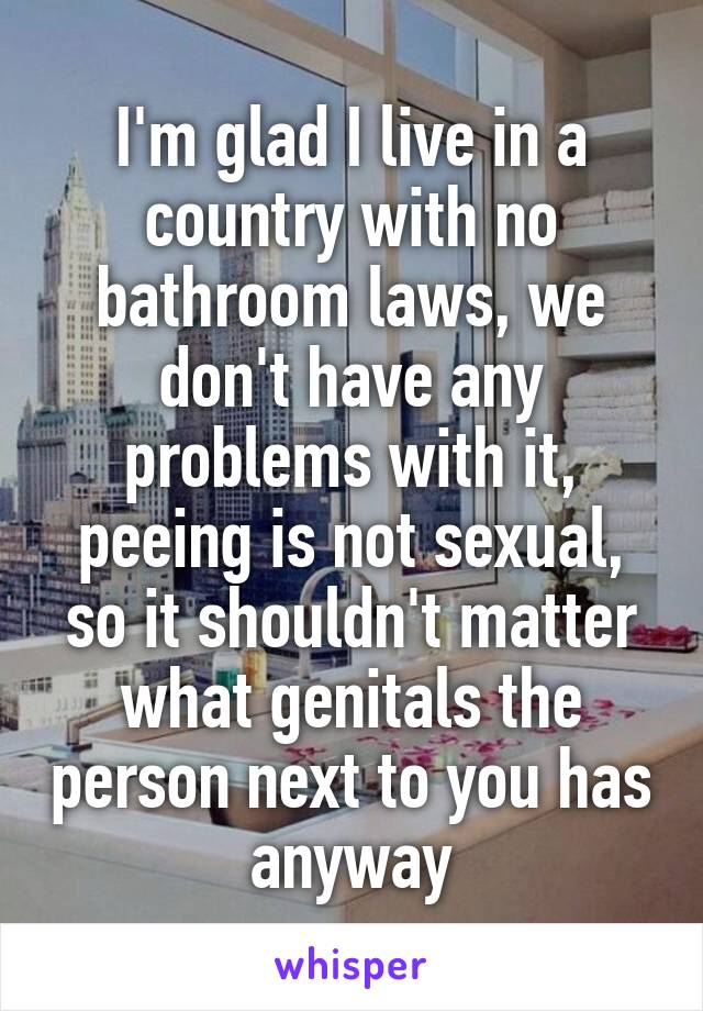 I'm glad I live in a country with no bathroom laws, we don't have any problems with it, peeing is not sexual, so it shouldn't matter what genitals the person next to you has anyway