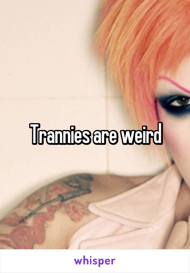 Trannies are weird