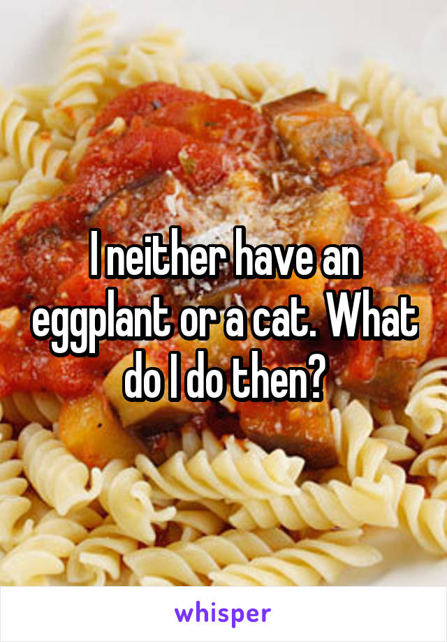 I neither have an eggplant or a cat. What do I do then?