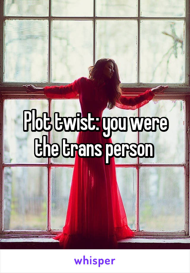 Plot twist: you were the trans person 