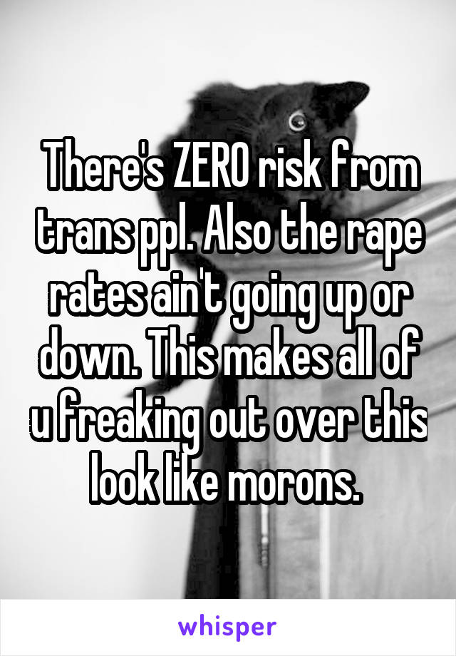 There's ZERO risk from trans ppl. Also the rape rates ain't going up or down. This makes all of u freaking out over this look like morons. 