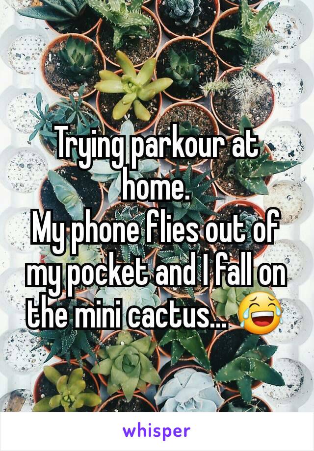 Trying parkour at home.
My phone flies out of my pocket and I fall on the mini cactus... 😂